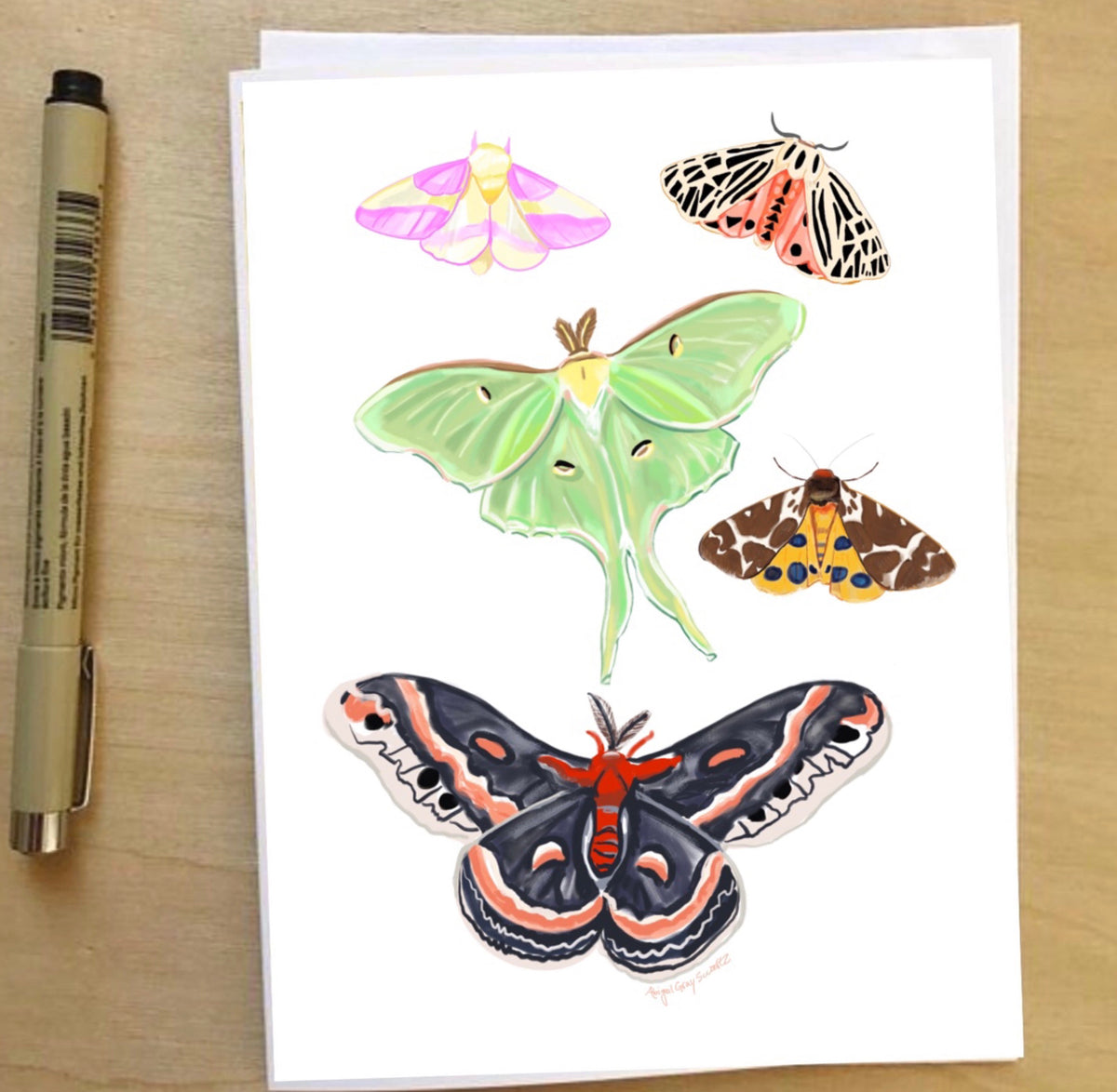 Moths, nature inspired card, Luna moth--Greeting Card