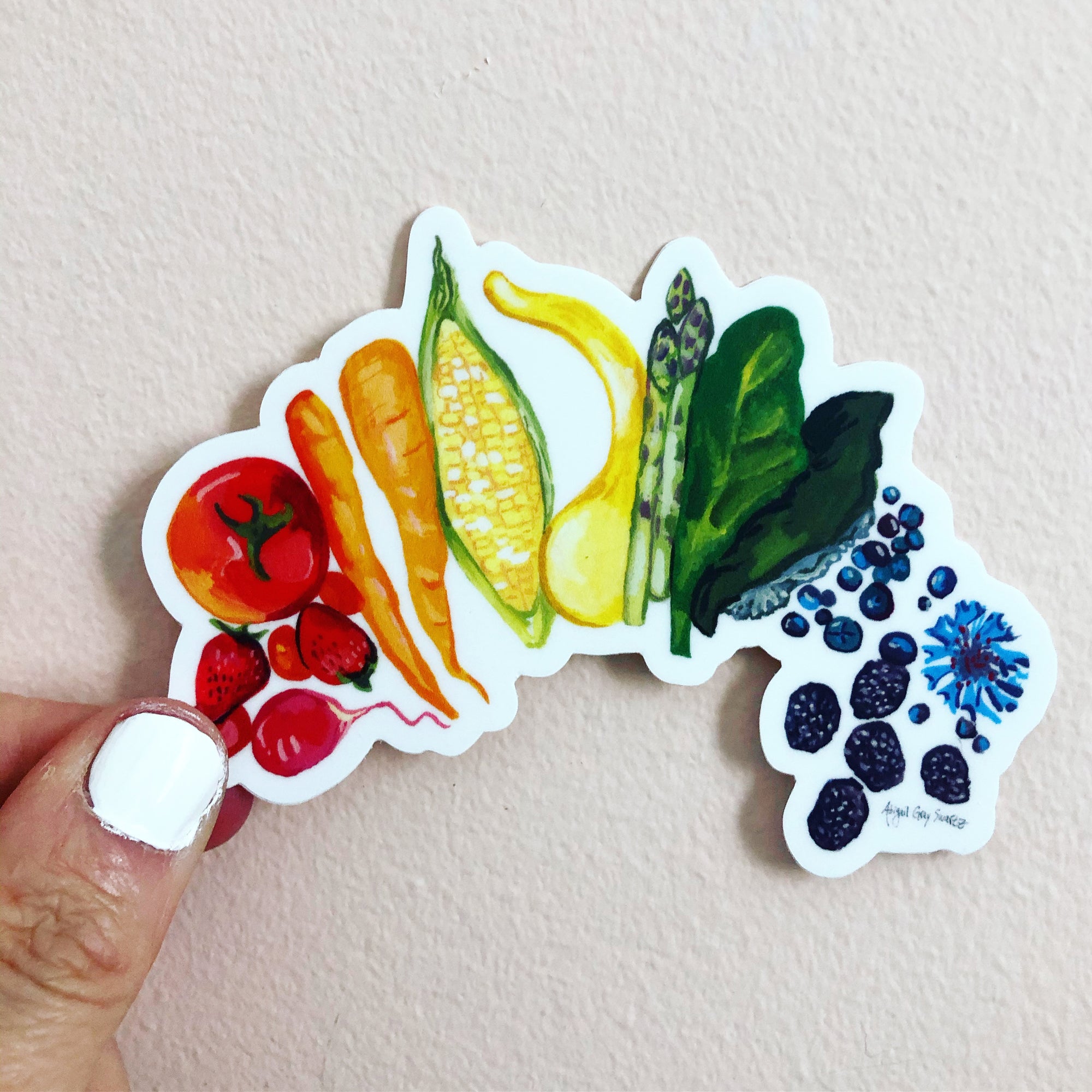 food rainbow sticker, healthy eating sticker, illustration sticker Abigail Gray Swartz