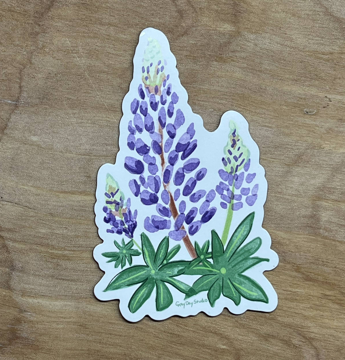 Lupine Magnet - MAGNET stickers &amp; magnets