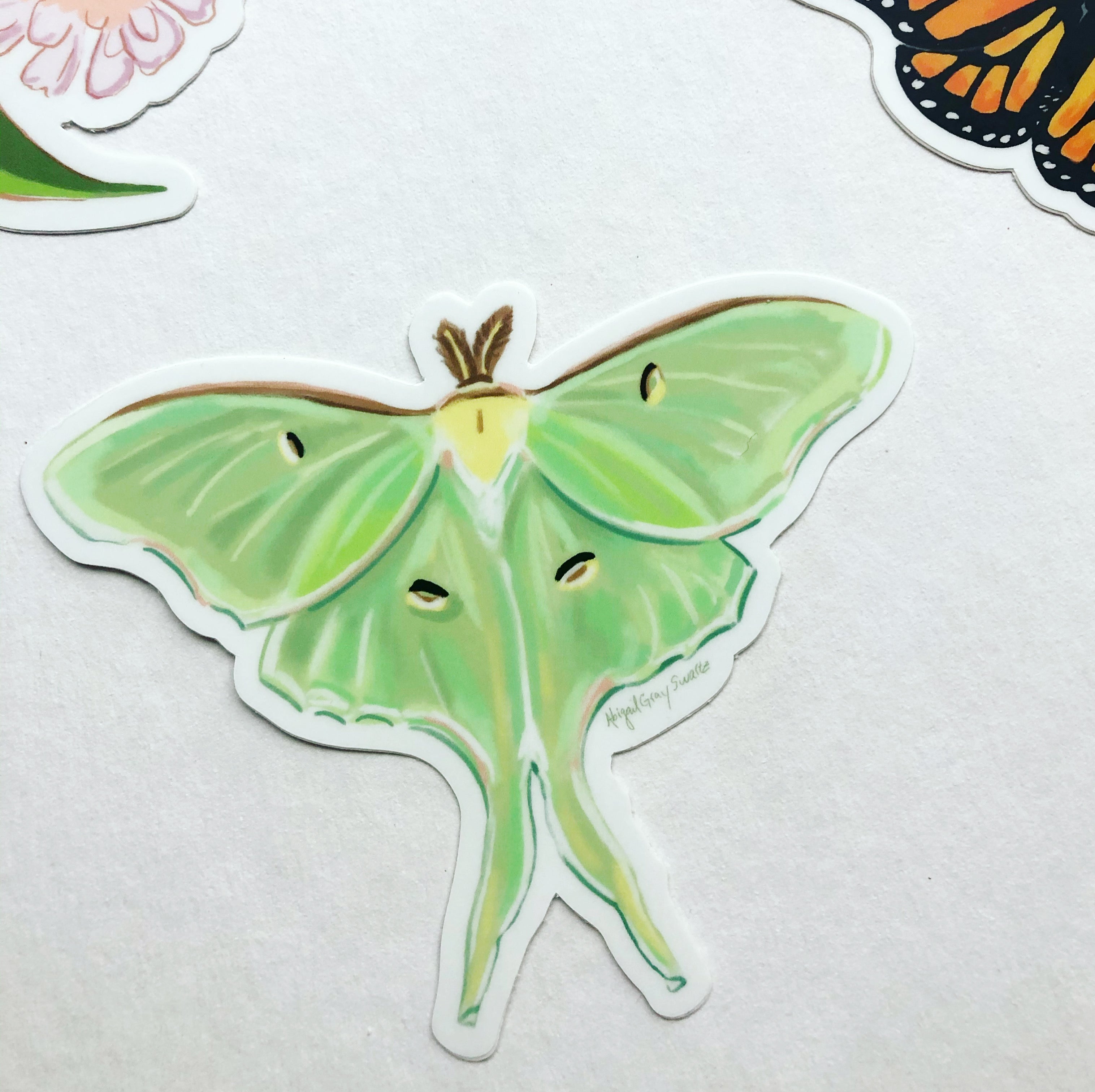 Luna Moth STICKER, waterbottle, laptop decoration- Stickers & Magnets -  GrayDayStudio