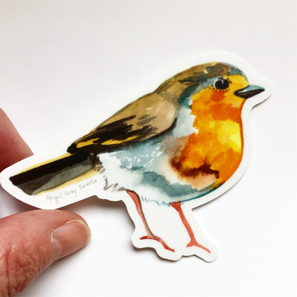 European Robin, portrait, woodland forest STICKER - Stickers &amp; Magnets
