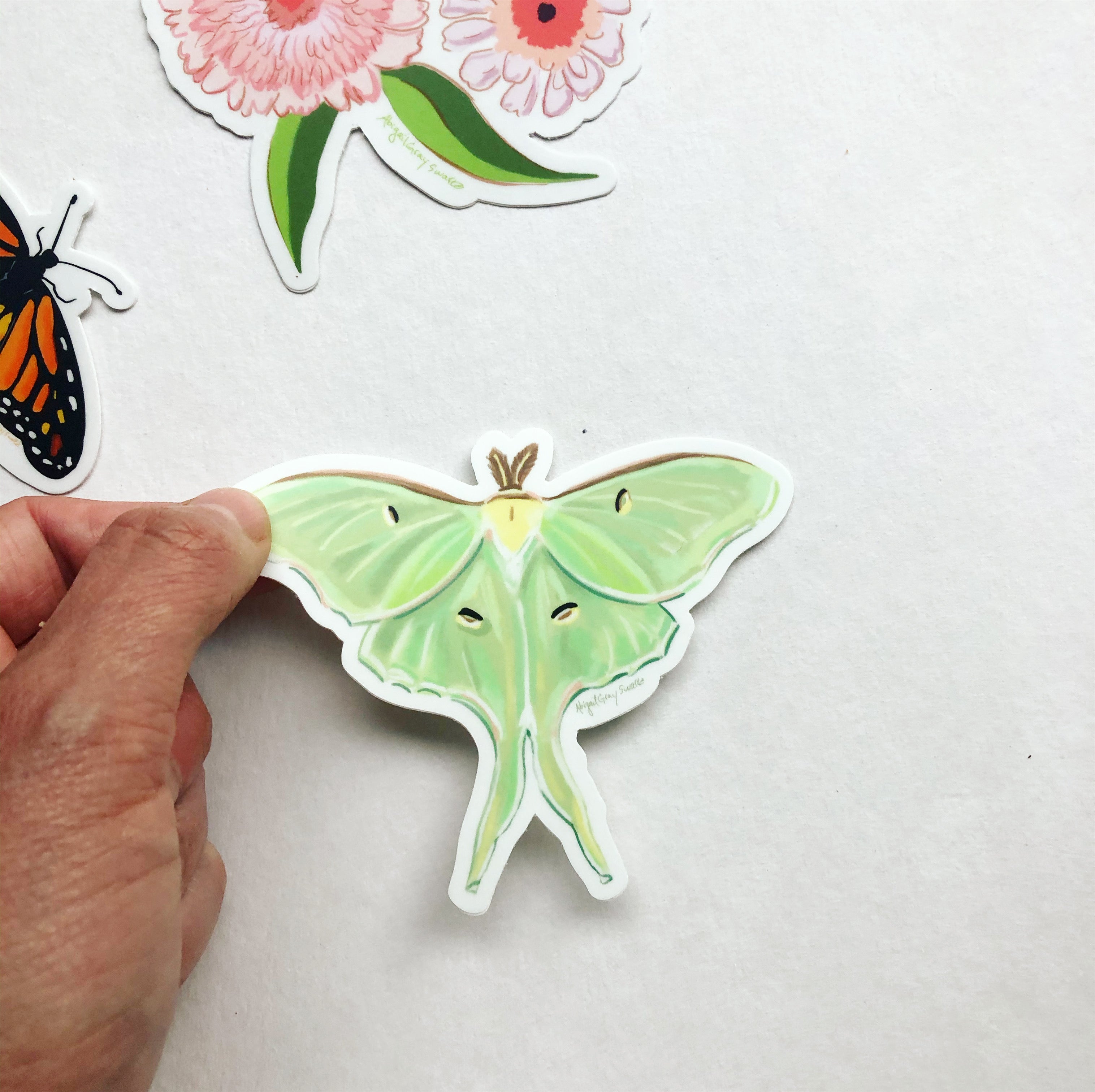 Luna Moth STICKER, waterbottle, laptop decoration- Stickers & Magnets -  GrayDayStudio