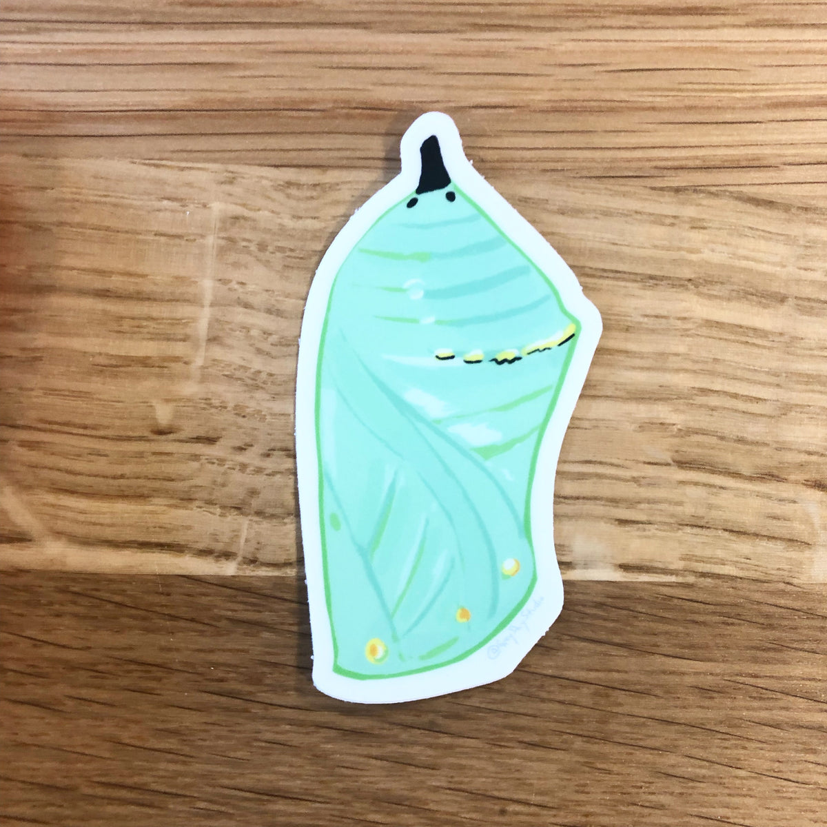 Monarch Chrysalis, pollinator cocoon STICKER, waterbottle, laptop decoration- Stickers &amp; Magnets