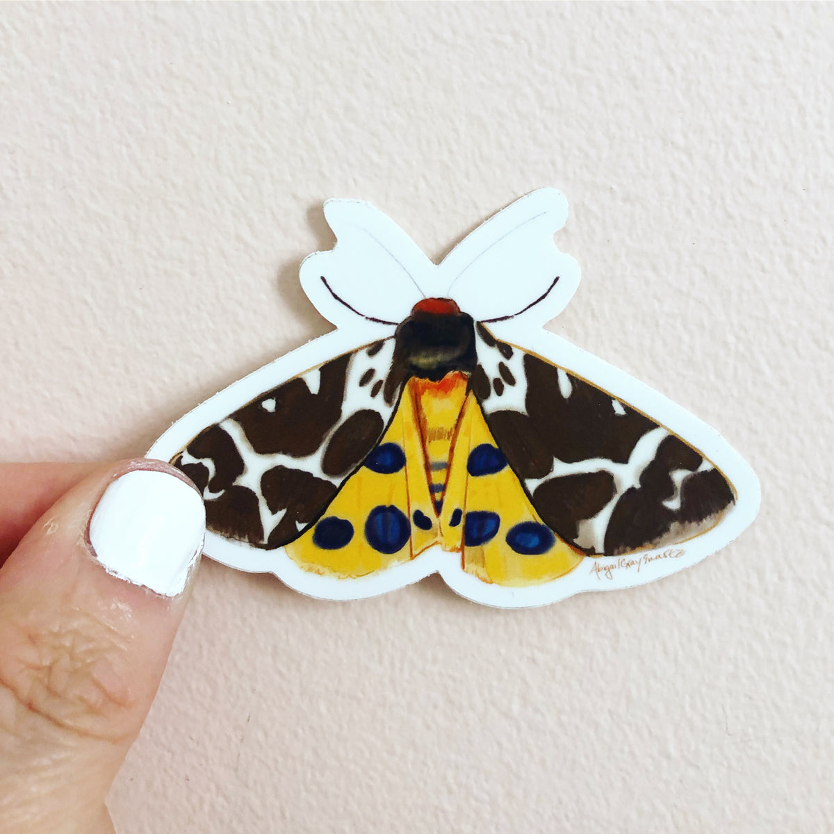 brown moth sticker, woodland sticker, by Abigail Gray Swartz