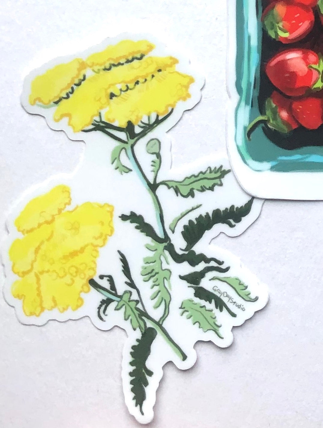 yellow yarrow floral sticker, by Maine artist Abigail Gray Swartz
