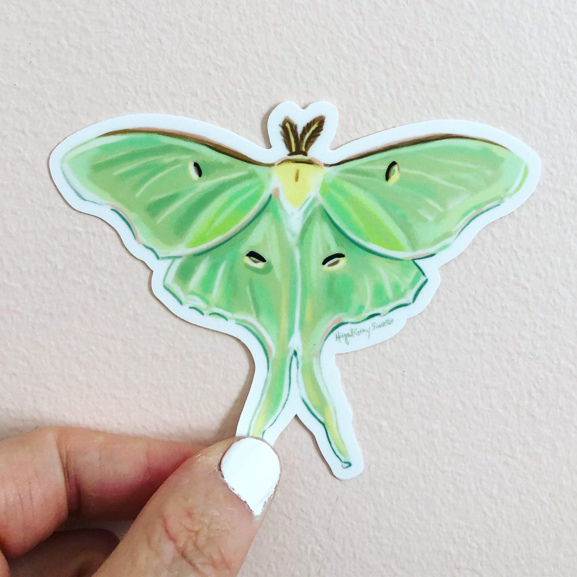 Luna Moth Sticker, by Abigail Gray Swartz