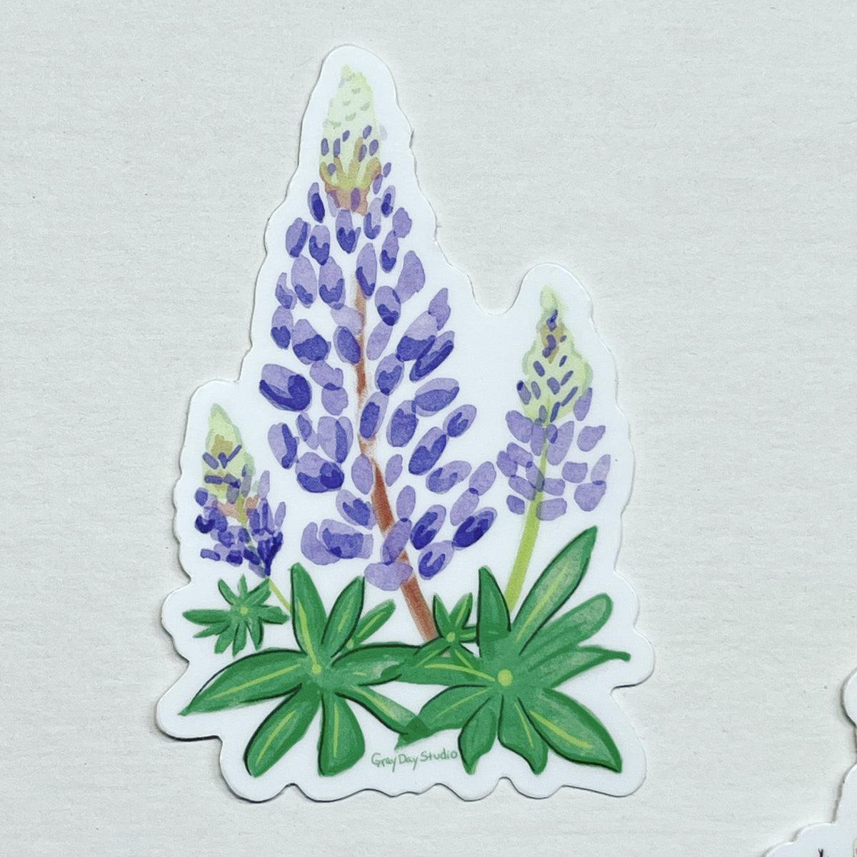 Lupine sticker, waterbottle, laptop decoration- Stickers &amp; Magnets